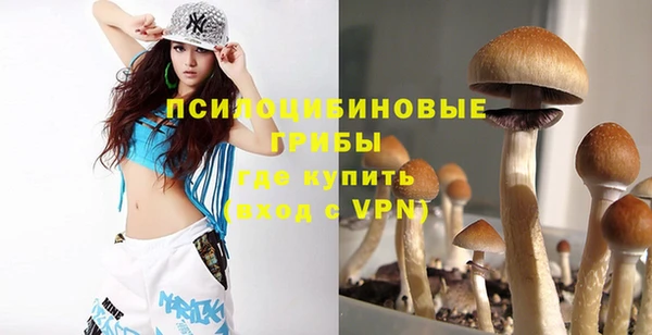 ПСИЛОЦИБИНОВЫЕ ГРИБЫ Алексеевка