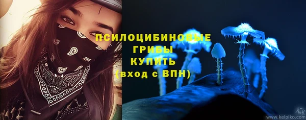 не бодяженный Алзамай