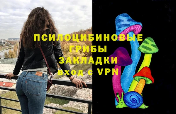 ПСИЛОЦИБИНОВЫЕ ГРИБЫ Алексеевка