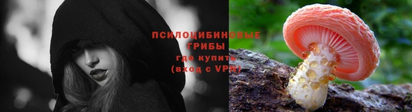 сатива Алексин
