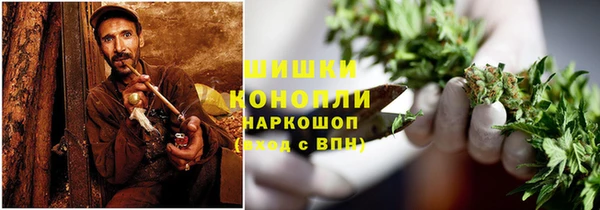 ПСИЛОЦИБИНОВЫЕ ГРИБЫ Алексеевка