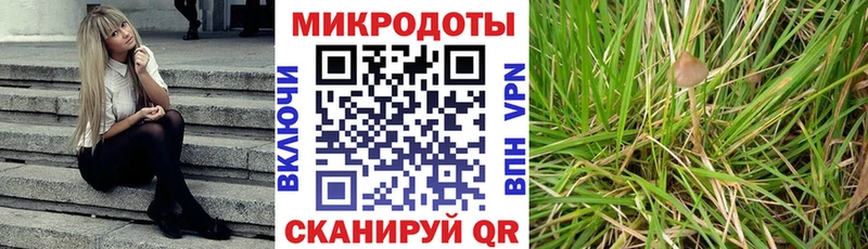 дарнет шоп  Катайск  Галлюциногенные грибы Cubensis 